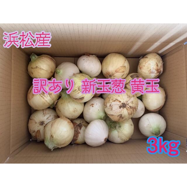 #4  訳あり 新玉ねぎ 黄玉   静岡県浜松産 3kg 食品/飲料/酒の食品(野菜)の商品写真