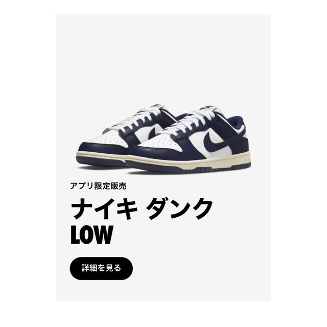 メンズNIKEダンクロー