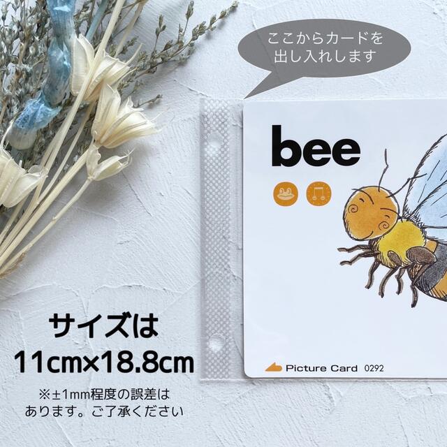 送料無料】ペッピーキッズクラブ ペッピーキッズ カード収納 送料無料】ペッピーキッズクラブ ペッピーキッズ カード収納