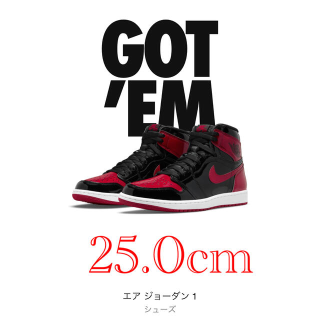 NIKE AIR JORDAN1 Patent Bred/25.0cm