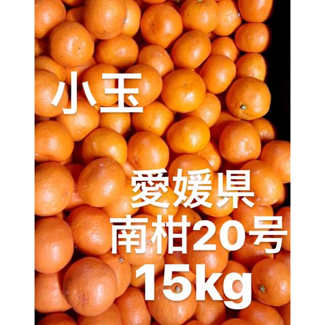 19愛媛玉津産　日南　甘い小玉　秀品＋家庭用ランク込み5kg