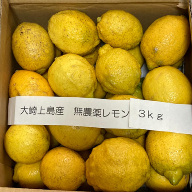 広島県大崎上島産無農薬レモン　3.0kg 食品/飲料/酒の食品(フルーツ)の商品写真