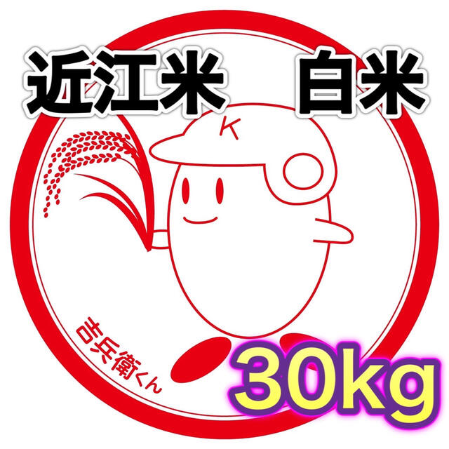 【送料無料】近江のお米　30kg（10kg×3本） 食品/飲料/酒の食品(米/穀物)の商品写真