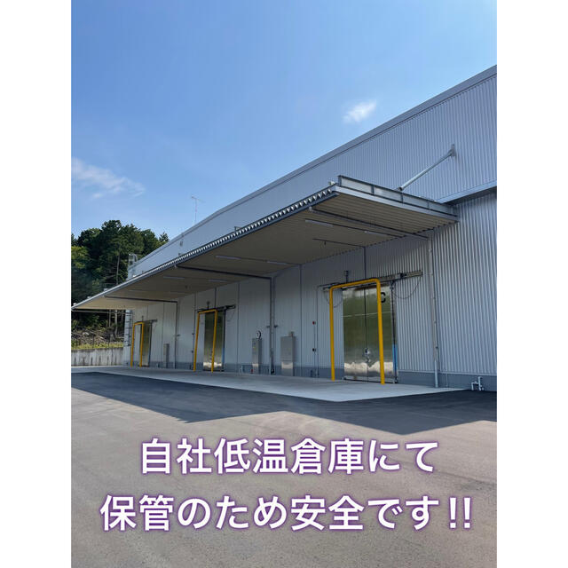 【送料無料】近江のお米　30kg（10kg×3本） 食品/飲料/酒の食品(米/穀物)の商品写真