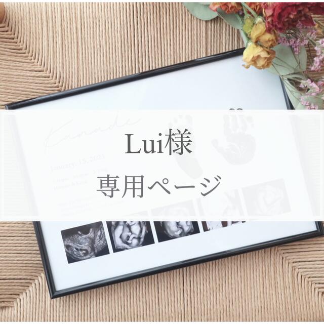 【Lui様】 キッズ/ベビー/マタニティのメモリアル/セレモニー用品(手形/足形)の商品写真