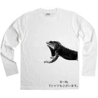 ユナイテッドアスレ(UnitedAthle)のイグアナ ロンT Tシャツ 爬虫類 動物 チャンピオン 恐竜 ユナイテッドアスレ(Tシャツ/カットソー(七分/長袖))