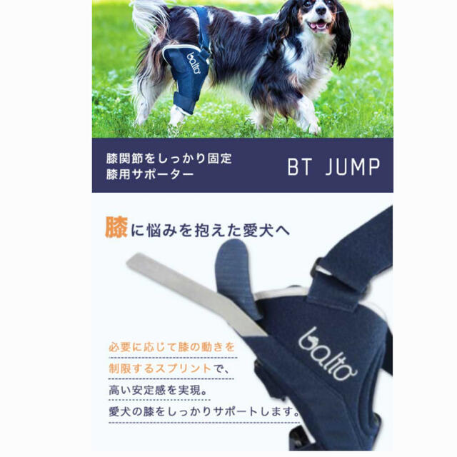犬用　サポーター左足用 その他のペット用品(犬)の商品写真
