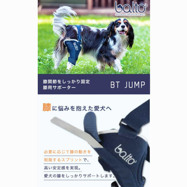 犬用　サポーター右足用 その他のペット用品(犬)の商品写真