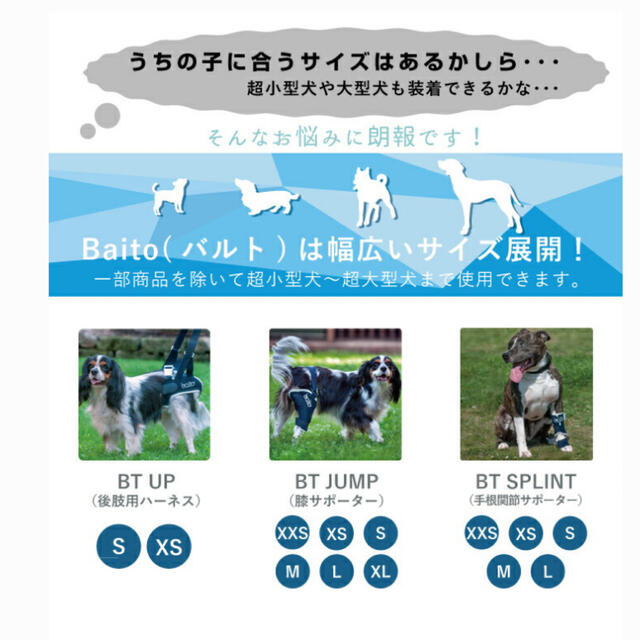 犬用　サポーター右足用 その他のペット用品(犬)の商品写真