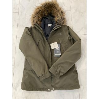 ザノースフェイス(THE NORTH FACE)のノースフェイス　グレーストリクライメートパーカ(ダウンジャケット)