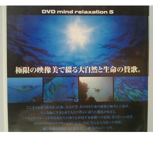 絶版◆◆ＤＶＤ　ディープ・ブルー　偉大なる海の命◆◆極限の映像美大自然 エンタメ/ホビーのDVD/ブルーレイ(趣味/実用)の商品写真