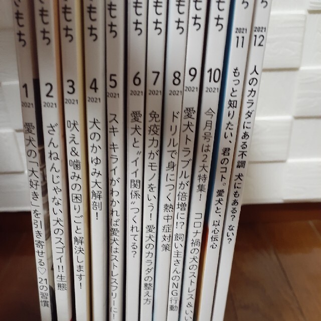 2021年版 いぬのきもち 12ヶ月分 - 雑誌