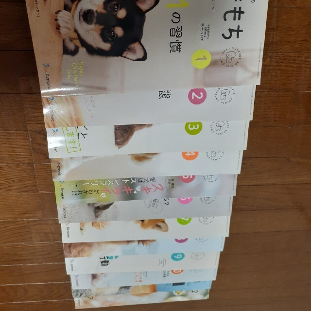 2021年版 いぬのきもち 12ヶ月分 - 雑誌