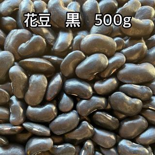 花豆　黒　500g(米/穀物)