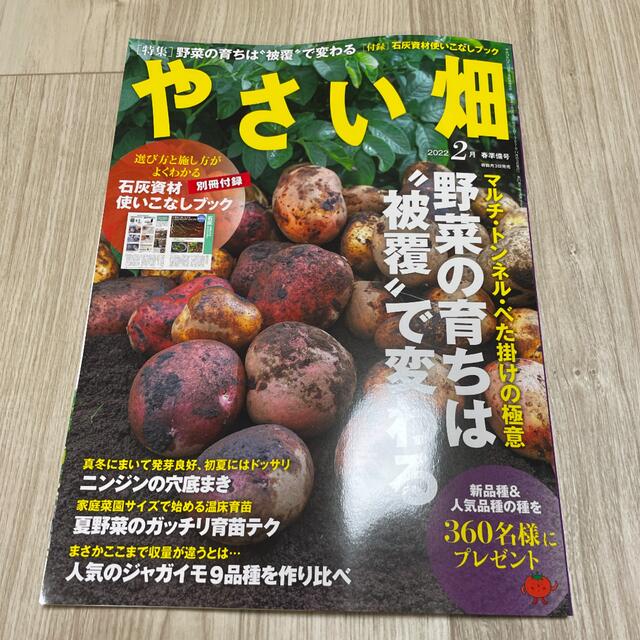 やさい畑　2022年2月準備号 エンタメ/ホビーの雑誌(趣味/スポーツ)の商品写真