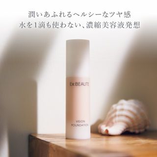 エクスボーテ(Ex:beaute)のNew エクスボーテ ビジョンファンデーション モイストSPF24 24g　01(ファンデーション)