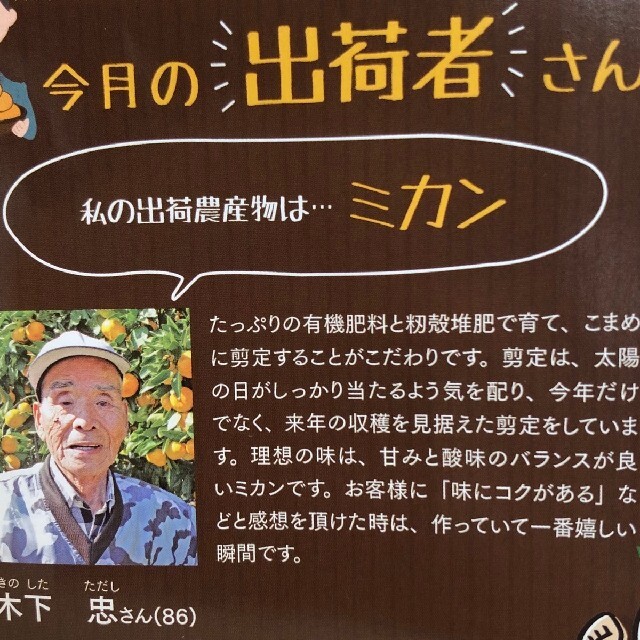 【関東、九州の方用】小粒ミカン5kg 食品/飲料/酒の食品(フルーツ)の商品写真