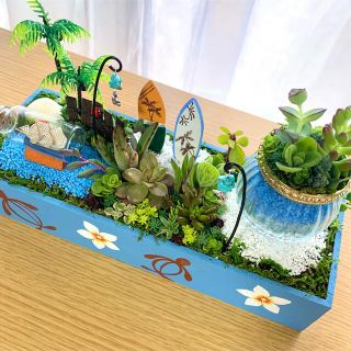 〜そのまま飾れる〜多肉植物寄せ植え(ハンドメイド)(その他)