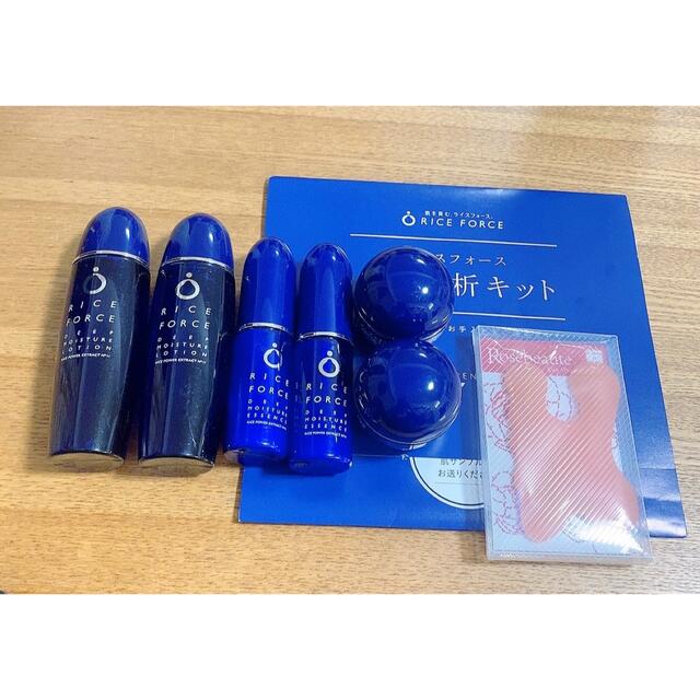 新品ライスフォース30日間トライアルセット✖️2 - キット/セット 新品ライスフォース30日間トライアルセット✖️2 - キット/セット