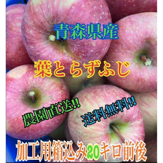 りんご 加工用 箱込み20キロ前後 ★葉とらずふじ★ 農園直送!!