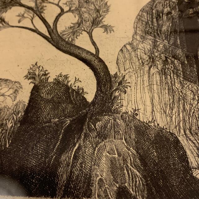Ernst Fuchs エルンスト・フックス 銅版画 版画 | tradexautomotive.com