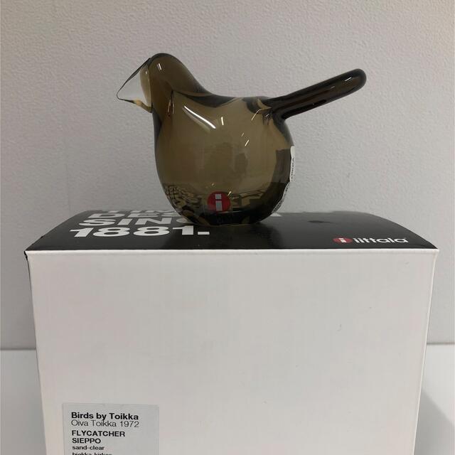 限定 イッタラ iittala バード スコープ 別注 シエッポ サンド クリア