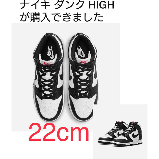 22cm ダンクハイ パンダ DANK HIGH DD1869-103