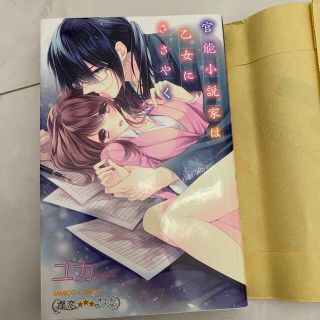 官能小説家は乙女にささやく(少女漫画)