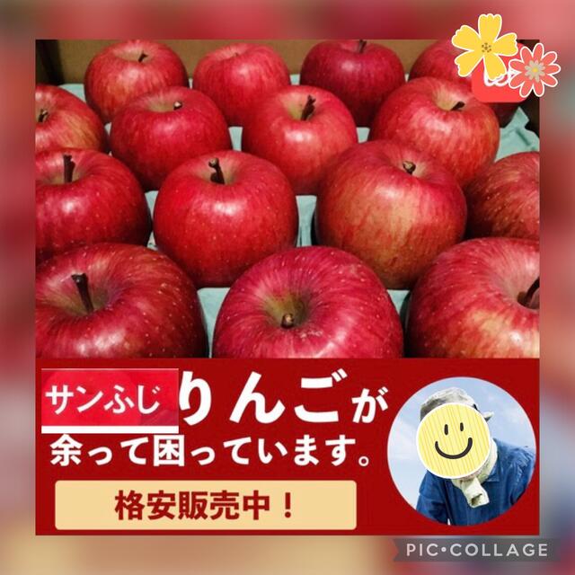 ☆★等級秀品です★☆青森産サンふじ林檎１０〜１２玉入箱☆ふじりんごフジリンゴ☆ 食品/飲料/酒の食品(フルーツ)の商品写真