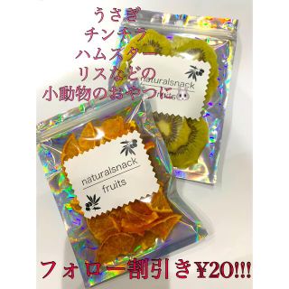 小動物のおやつ　乾燥オレンジ　キウイ(小動物)
