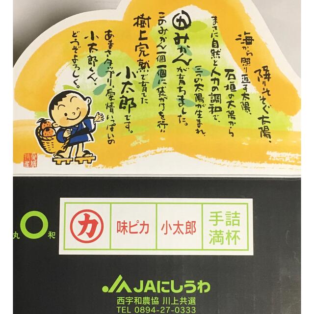 食品緊急入荷！究極の愛媛みかん！味ピカ【小太郎】Sサイズ 30玉 約2kg