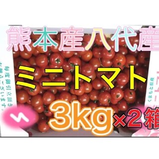 熊本八代産ミニトマト3kg2箱組(野菜)