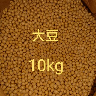 自家栽培 大豆(里のほほえみ) 5kg 家庭用(野菜)