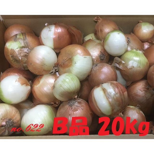 北海道産タマネギ　Ｂ品　20kg　農家直送 食品/飲料/酒の食品(野菜)の商品写真