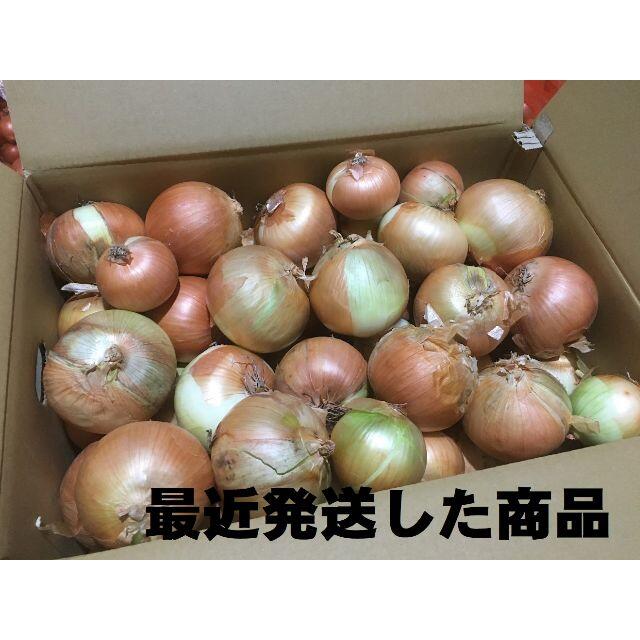 北海道産タマネギ　Ｂ品　20kg　農家直送 食品/飲料/酒の食品(野菜)の商品写真