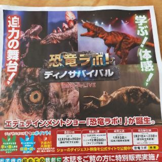 あおちゃん様専用　恐竜ラボ！ディノサバイバル 名古屋公演(印刷物)