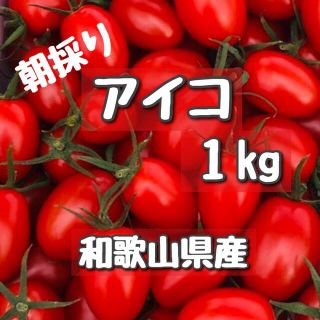 和歌山県産　ミニトマトアイコ　1kg以上入ってます♡(野菜)