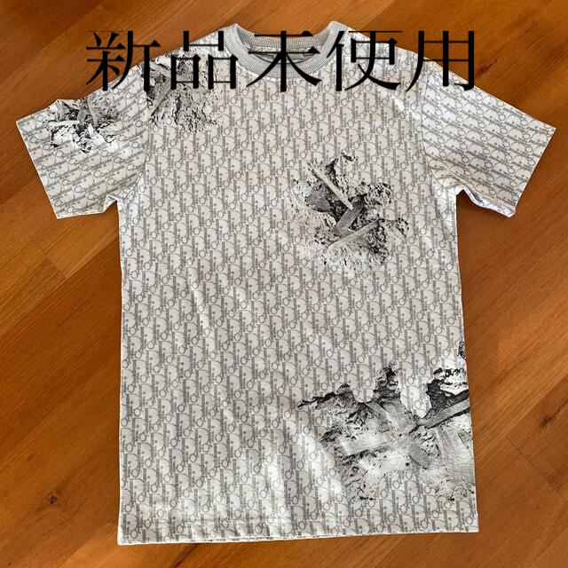 Tシャツ/カットソー(半袖/袖なし)ディオールTシャツ DIOR AND DANIEL ARSHAM オブリーク