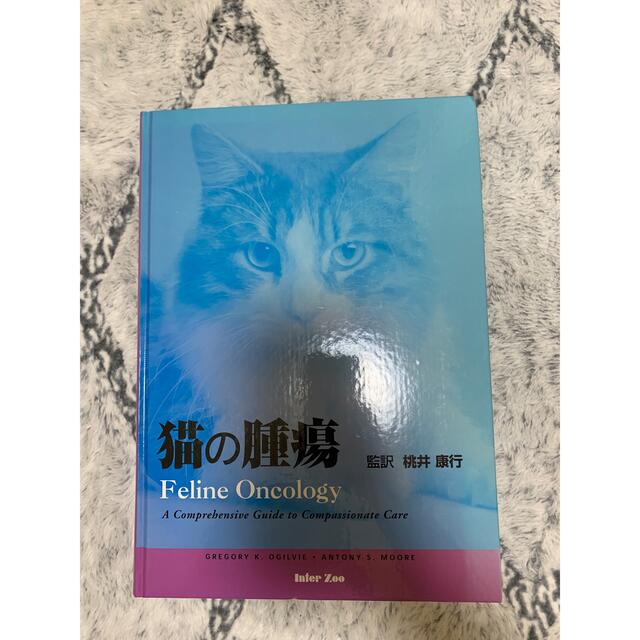 猫の腫瘍