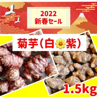 ❤️【新春セール】〜「菊芋」白&紫の組合せ（1.5kg）