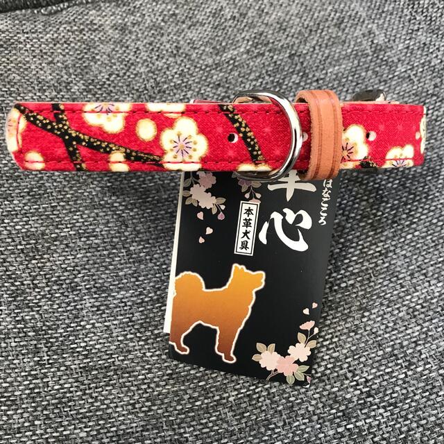 【保護犬GO】新品　中型犬Ｓサイズ　カラー、首輪★赤 ハンドメイドのペット(リード/首輪)の商品写真