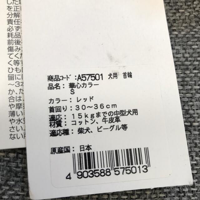 【保護犬GO】新品　中型犬Ｓサイズ　カラー、首輪★赤 ハンドメイドのペット(リード/首輪)の商品写真