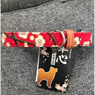 【保護犬GO】新品　小型犬XSサイズ　犬用首輪カラー★赤(リード/首輪)