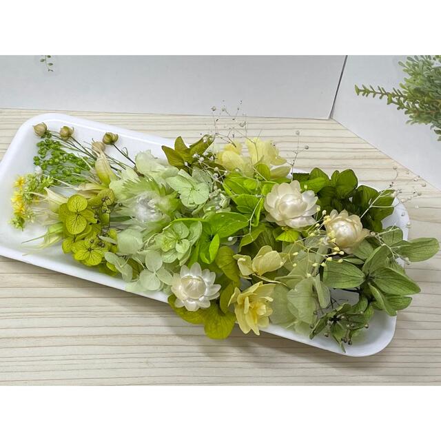 【お買得!】 花材セット No.383 グリーン 各種パーツ