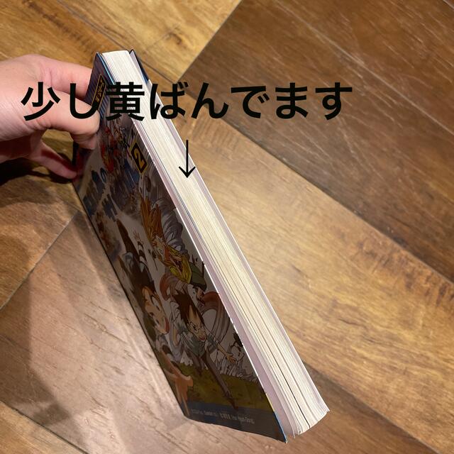 異常気象のサバイバル ２ エンタメ/ホビーの本(絵本/児童書)の商品写真