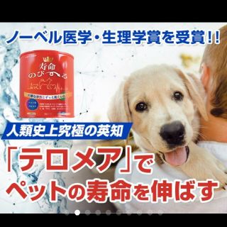 世界初！日本先行販売　ペット用テロメアのサプリ　普段のご飯に混ぜるだけ　1缶(ペットフード)