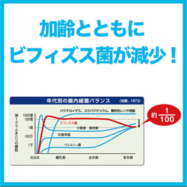 森永乳業(モリナガニュウギョウ)の森永 ビフィズス菌末BB536   2g×30本×2箱 食品/飲料/酒の健康食品(その他)の商品写真