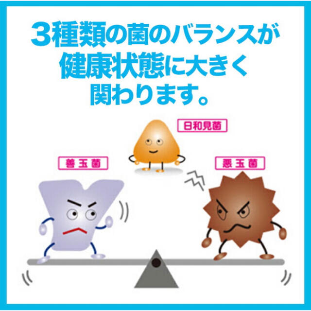 森永乳業(モリナガニュウギョウ)の森永 ビフィズス菌末BB536   2g×30本×2箱 食品/飲料/酒の健康食品(その他)の商品写真