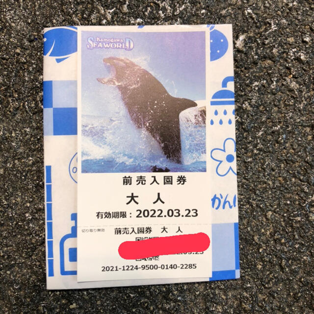 【値下げしました】鴨川シーワールド　前売り券　1枚 チケットの施設利用券(水族館)の商品写真