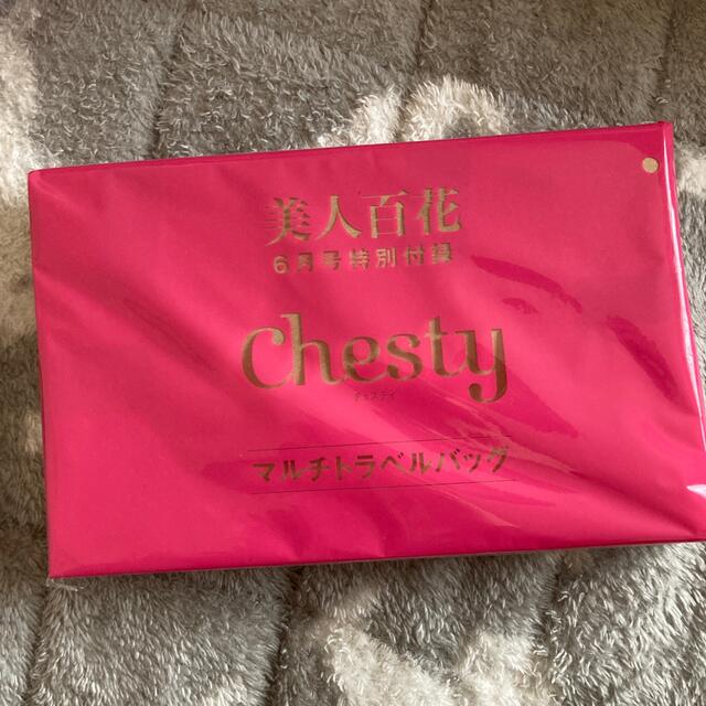 Chesty(チェスティ)のChesty マルチトラベルバッグ　雑誌付録 メンズのバッグ(トラベルバッグ/スーツケース)の商品写真